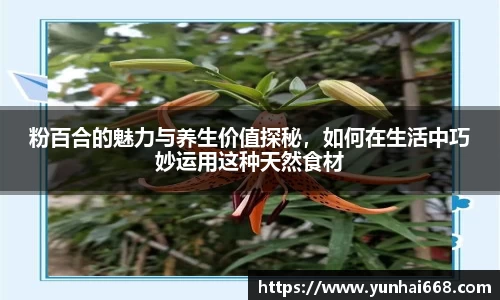 粉百合的魅力与养生价值探秘，如何在生活中巧妙运用这种天然食材