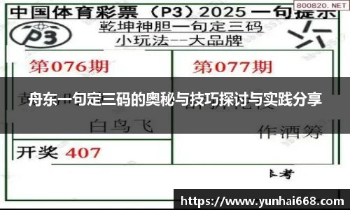 舟东一句定三码的奥秘与技巧探讨与实践分享